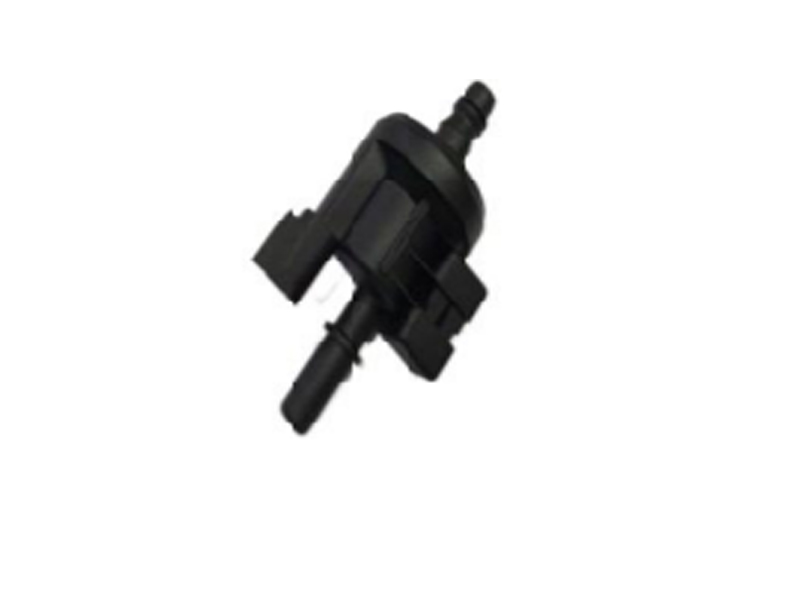 10721498 Solenoid klapan