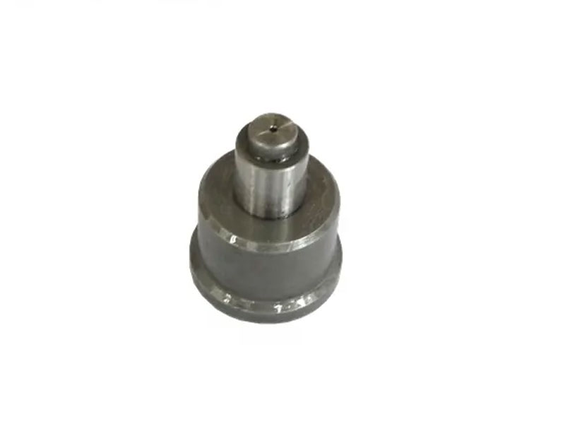 Dizel Nasos Çatdırılma Valve 2418559-054